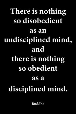 Disciplined Mind 2